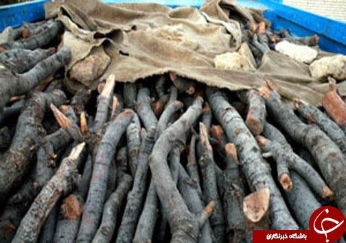 نگاهی گذرا به مهمترین رویداد&zwnj;های دوشنبه ۱۹ فروردین ماه در مازندران