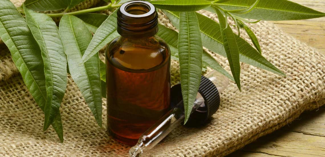 (دانستنی)با روغن درخت چای شوره سر را از سرتان کم کنید/ گیاهی فوق العاده برای درمان شوره سر/ برای داشتن شکم شش تکه چه کار کنیم؟