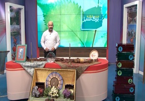 مسابقه «برگ سبز» در سیمای مرکز قزوین