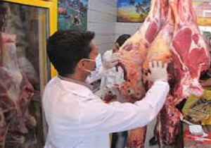 عملکرد اکیپ‌های طرح تشدید نظارت بهداشتی دامپزشکی در مهاباد