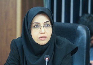 نقش فانتزی شورا&zwnj;ها در امور اجرایی