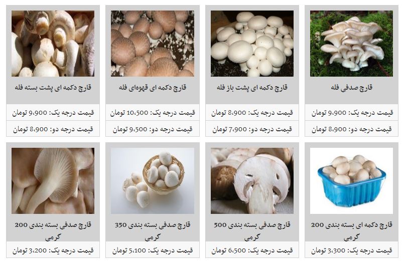 افزایش قیمت قارچ در غرفه تره بار