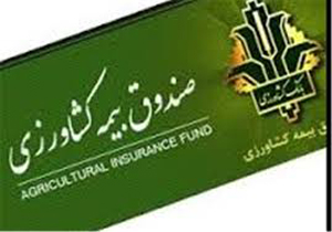 خسارت ۵۰۰ میلیارد ریالی سیل به محصولات کشاورزی در مرودشت
