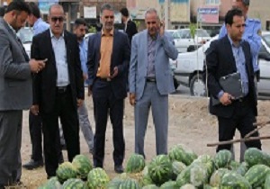 ساماندهی وانت بارها و دستفروشان در روز بازارهای شهرداری بیرجند