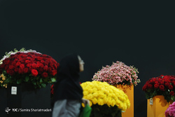 جشنواره لاله‌های کرج