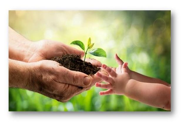 حکم زیست محیطی قاضی کنارک برای شکارچیان غیر مجاز