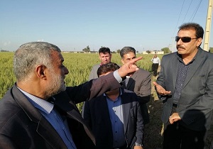 مناطق سیل زده حمیدیه و دشت آزادگان زیر ذره بین وزیر جهاد کشاورزی