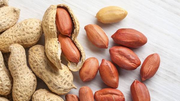 راهکاری ساده برای درمان حساسیت/ دادو گیاهی برای کنترل فشار خون/