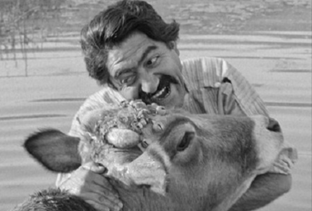 فیلم‌های دیده‌نشده از ساخته مهرجویی در جشنوراه جهانی فیلم فجر به نمایش درمی‌آید