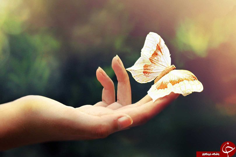 برای پیدا کردن راه درست در زندگیمان چه ذکری بگوییم و از چه کسی مدد بگیریم؟!