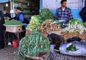 گیاهان بهاری زینت بخش سفره های مردم استان کردستان