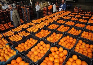 توزیع میوه شب عید در قم اینترنتی صورت گرفت/توزیع ۹۵۰ تن میوه شب عید در قم