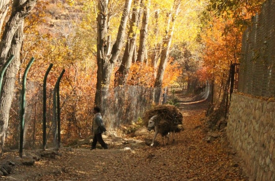 گزارش تصویری مناظر روستایی ایران