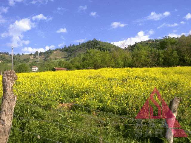 گزارش تصویری مناظر روستایی ایران