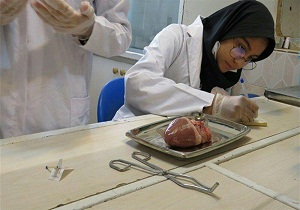 مسابقات آزمایشگاهی دبیران علوم تجربی در شاهرود