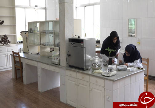 ذخیره سازی ۲۰ گونه جدید از قدیمی&zwnj;ترین فسیل زنده جهان در سه استان شمالی + فیلم