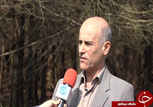 ذخیره سازی ۲۰ گونه جدید از قدیمی&zwnj;ترین فسیل زنده جهان در سه استان شمالی + فیلم