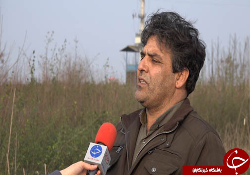ذخیره سازی ۲۰ گونه جدید از قدیمی&zwnj;ترین فسیل زنده جهان در سه استان شمالی + فیلم