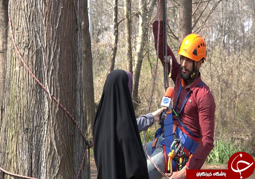 ذخیره سازی ۲۰ گونه جدید از قدیمی&zwnj;ترین فسیل زنده جهان در سه استان شمالی + فیلم