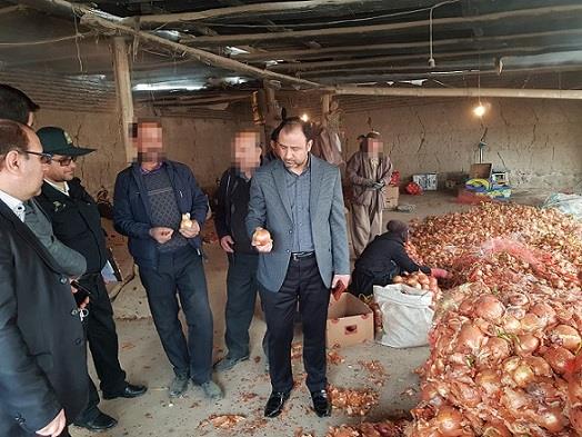 کشف سه انبار احتکار پیاز در ایلخچی