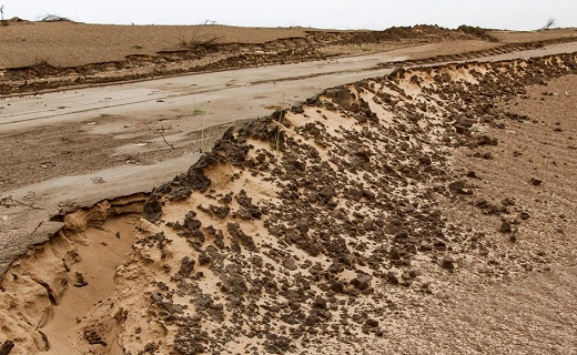 مالچ پاشی