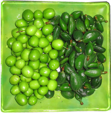 مشکلات گوارشی؛ نتیجه افراط در خوردن نوبرانه ها/ در فصل بهار چه اتفاقاتی در بدن می افتد؟