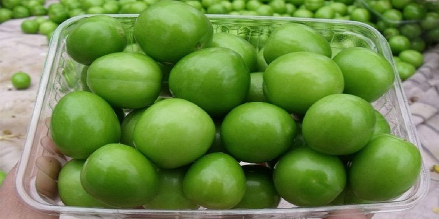 مشکلات گوارشی؛ نتیجه افراط در خوردن نوبرانه ها/ در فصل بهار چه اتفاقاتی در بدن می افتد؟