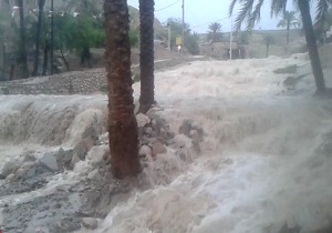 بارش باران همراه با تگرگ در بندرعباس + فیلم