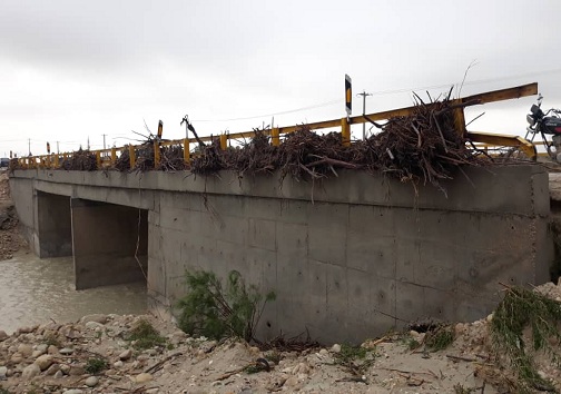 آبگرفتگی ۱۰ خانه و معابر روستای در گور بندرخمیر/تلف شدن ۵ نفر شتر+عکس