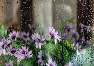 سهم فارس از سخاوت آسمان تا صبح امروز/جهرم بیشترین بارندگی را به خود اختصاص داد