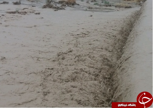 جاری شدن سیلاب در نزدیکی چاه های کشاورزی درح سربیشه+ تصویر