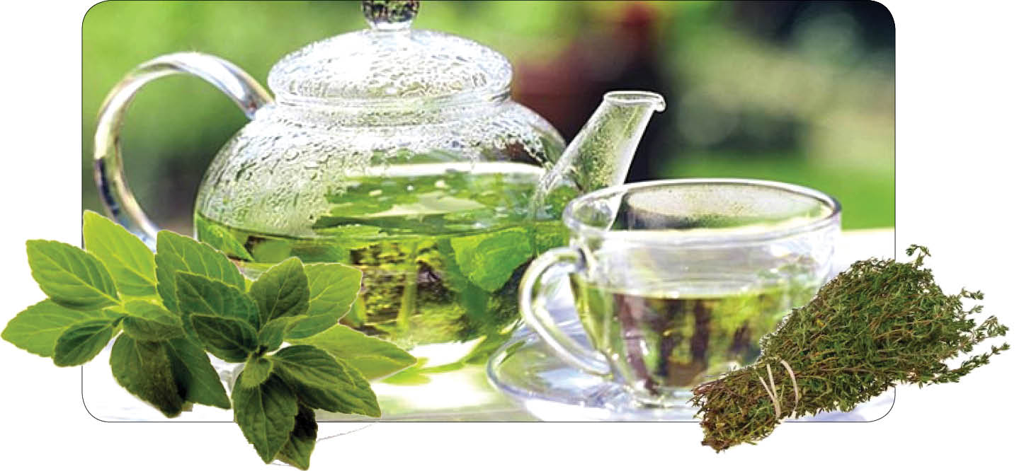 دمنوش آویشن و پونه + دستور تهیه
