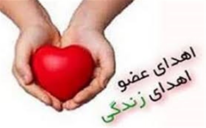 اهدای عضو ۲۶ بیمار مرگ مغزی در همدان