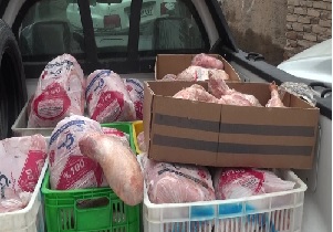 توقیف ۵۰۰ کیلوگرم مرغ منجمد در شهرستان بیرجند