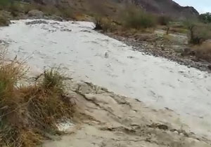 خروش سیلاب در روستای دهنرود + فیلم