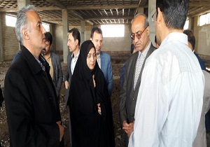 استان قزوین قطب تولید ماهیان زینتی کشور می‌شود