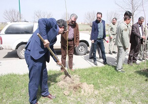 غرس۱۸۰ نهال در استادیوم علی دایی اردبیل