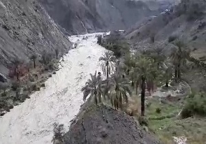 وقوع سیل در روستای «بلبل‌آباد» + فیلم