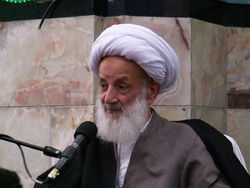 خاطره ای جالب  از آیت الله مجتهدی از دوران کودکی خود