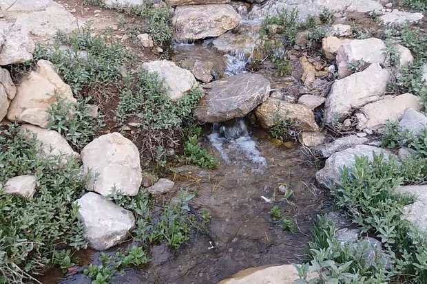 جوشش۶۰۰ چشمه خشکیده در کهگیلویه و بویراحمد
