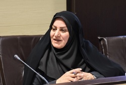 تشکیل کمیته برنامه&zwnj;ریزی و راهبردی طرح ملی حامی