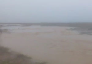 جاری شدن سیل در روستای بیمرغ + فیلم