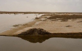 نجات تالاب گاوخونی، مدیریت یا باران