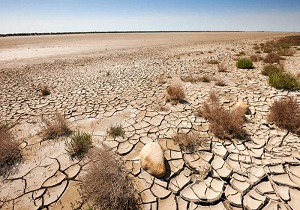 اجرای طرح بیابان زدایی در ۴ هزار هکتار از بیابان‌های هرمزگان