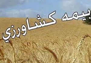 ۶۵ میلیارد ریال، برآورد بیمه از خسارت‌های ناشی از سیل