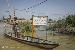 برداشت گندم در مزارع زیر آب