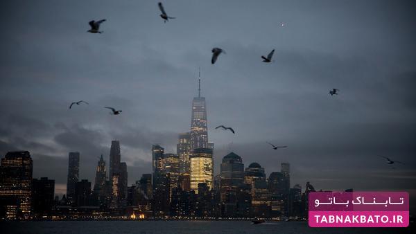 مرگبارترین شهر دنیا برای پرندگان مرگبارترین شهر دنیا برای پرندگان