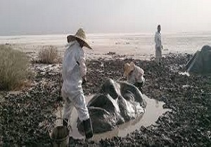 حضور ۵۱ گروه در جشنواره ملی تالاب کجی نمکزار نهبندان