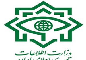 ضربه به ۲۰ تیم وابسته به گروهک‌های تکفیری به ویژه داعش در کردستان