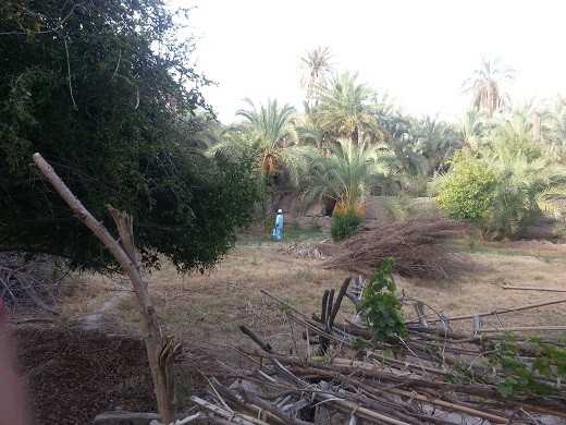 اسپکه؛ شهری کوچک و تاریخی